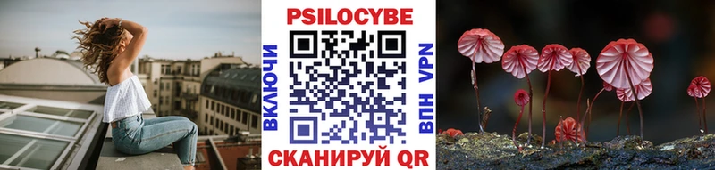 ссылка на мегу ONION  Амурск  Галлюциногенные грибы ЛСД 
