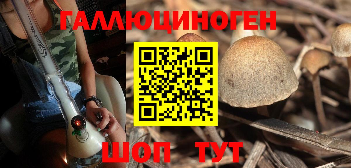 Псилоцибиновые грибы Psilocybe  Вход с VPN  Амурск  Галлюциногенные грибы MAGIC MUSHROOMS 