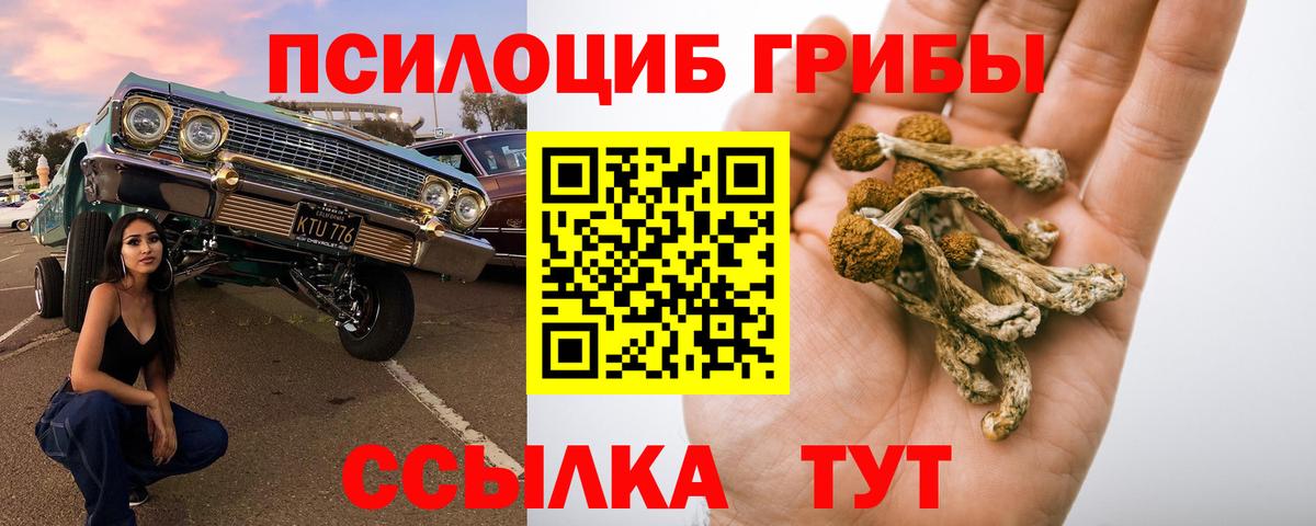 Галлюциногенные грибы Cubensis Амурск
